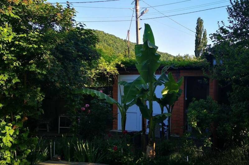 Гостевой дом «Вероника»