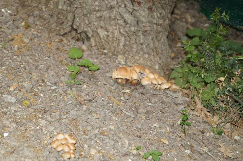 База отдыха