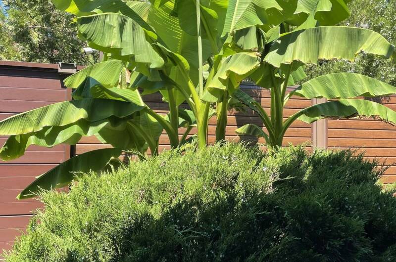 Гостевой дом «Фем Ландия» (Guest House Fem Landia)