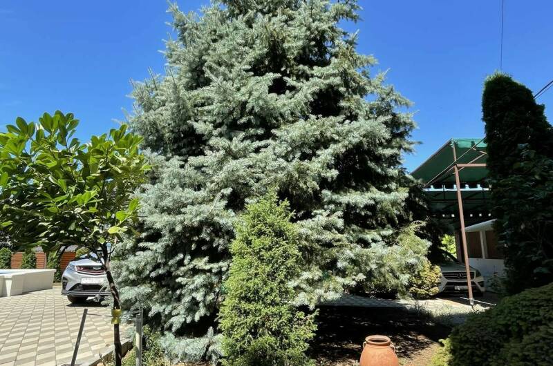 Гостевой дом «Фем Ландия» (Guest House Fem Landia)