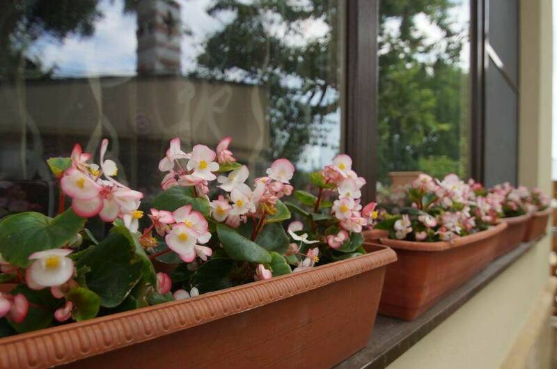 Гостевой дом «У Лукоморья»