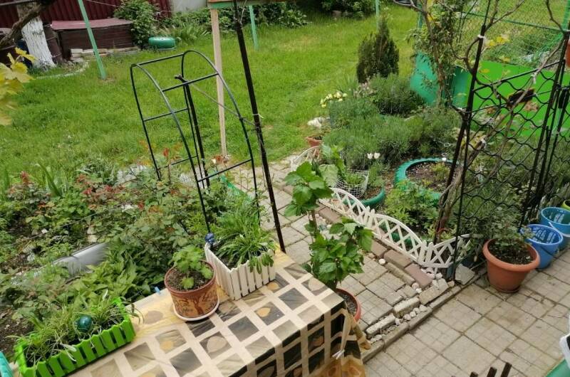 2-х комнатная квартира «В гостях у Ларисы»