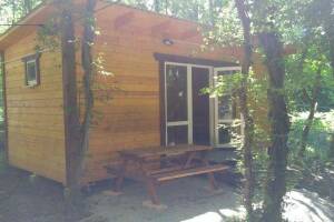 Изображение Экодом в лесу для двоих #5