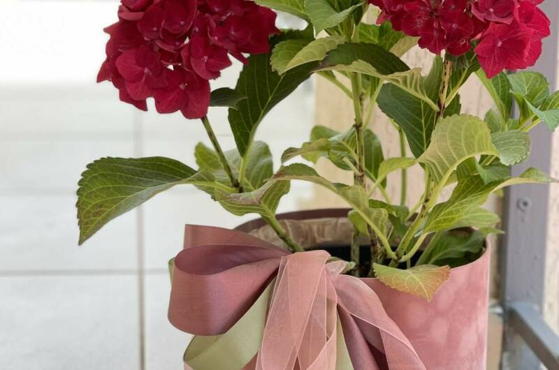 Частный дом «Селена»