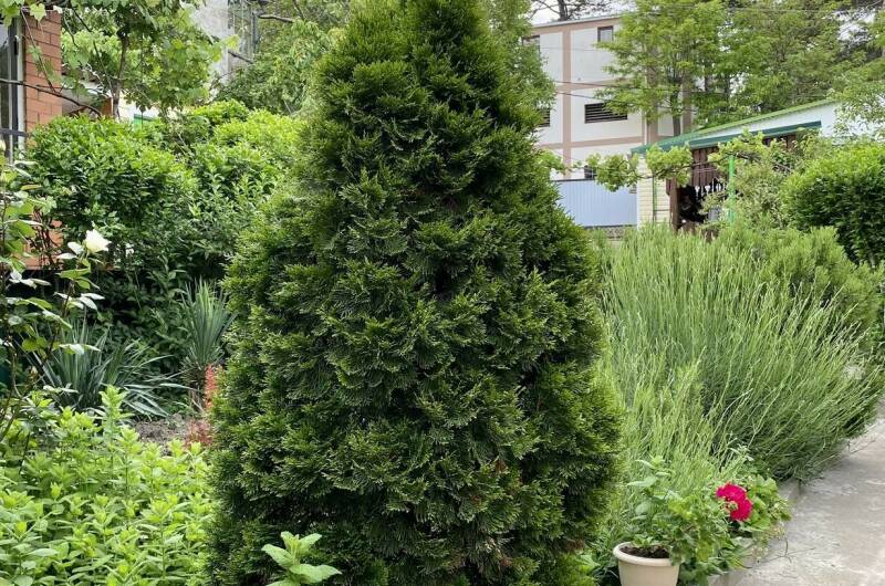 Гостевой дом «Надежда»