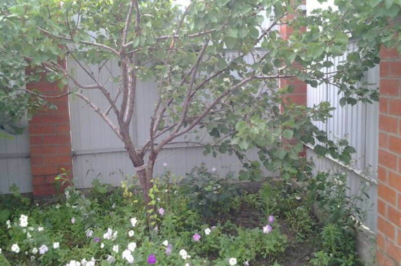 Частное домовладение «Здоровый отдых на Средней»