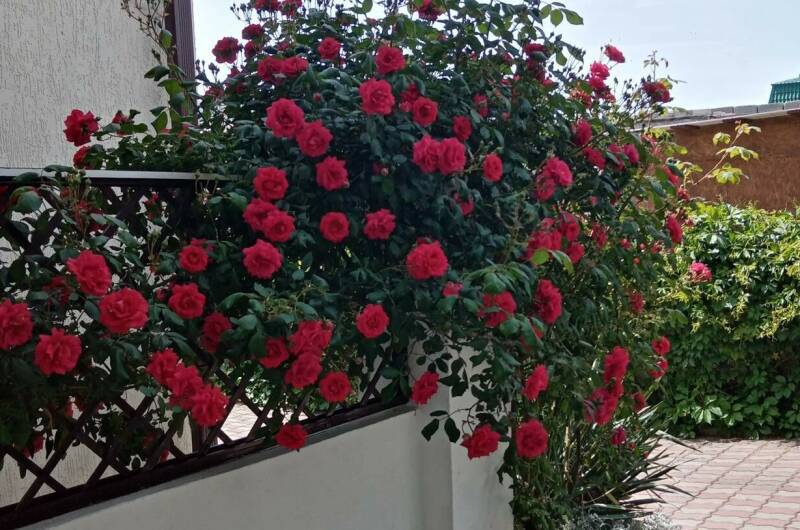 Двухкомнатный дом под ключ с кухней