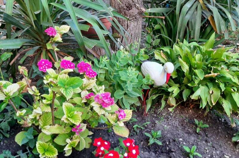 Частный сектор «Тонкий мыс»