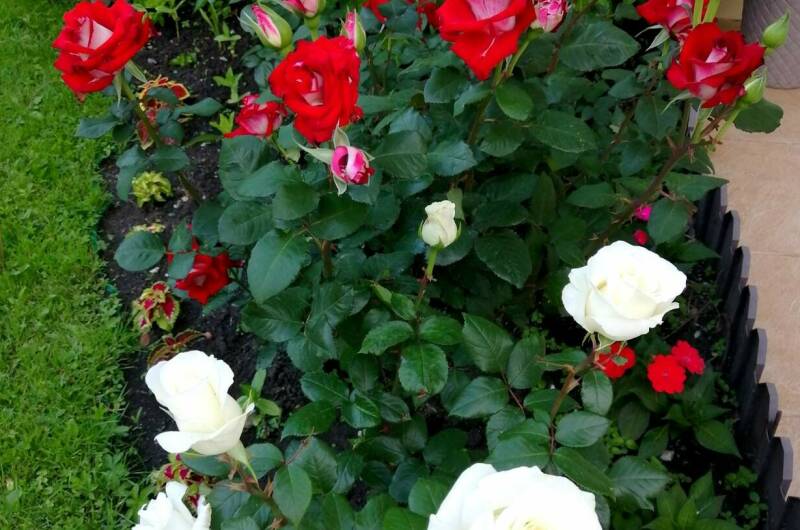 Гостевой дом «Анастасия»