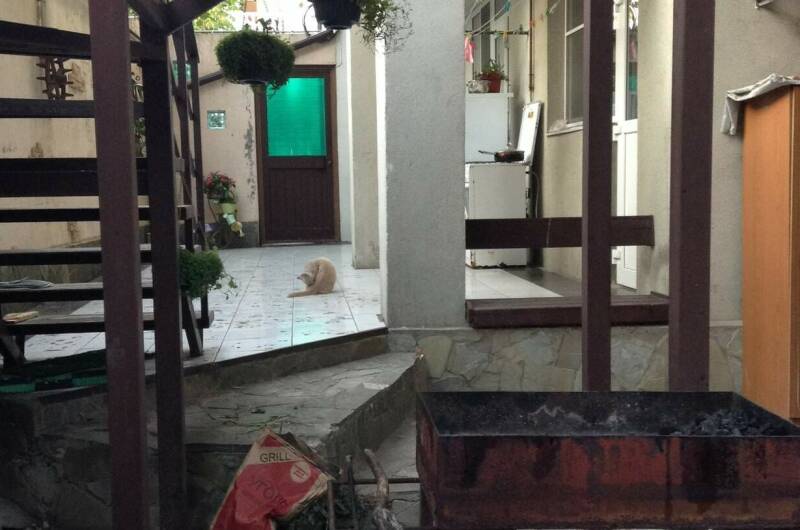 Дом под ключ «Едем к нам»