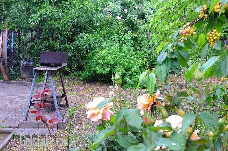 Частные домики «у Маргариты»