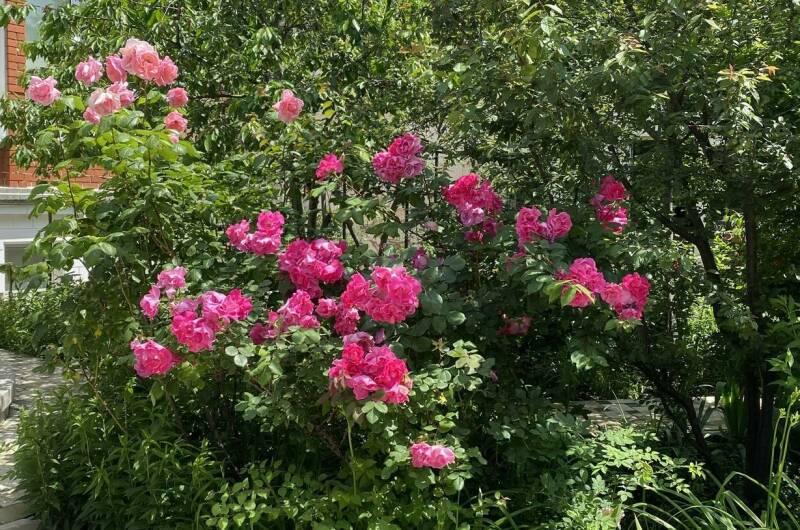 Гостевой дом «Белая невесточка»