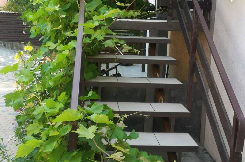 Дом на Тонком мысе