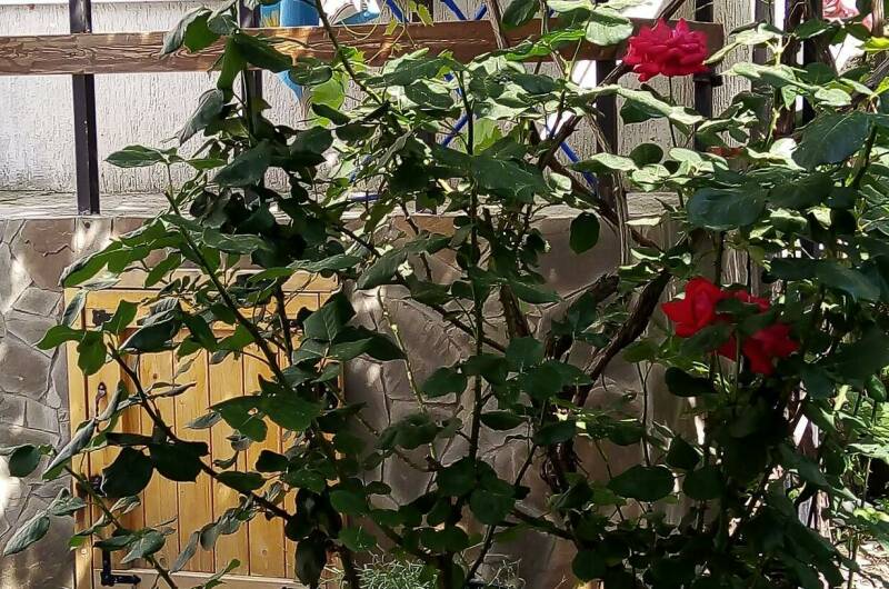 Часть дома «под ключ»