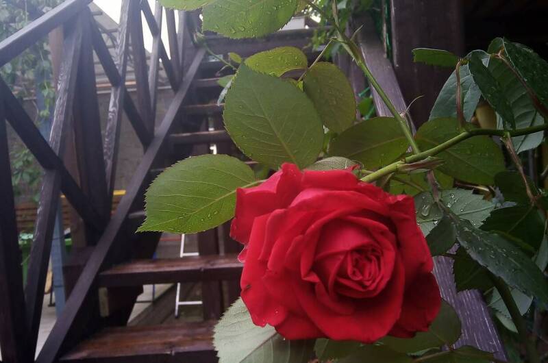 Часть дома «под ключ»