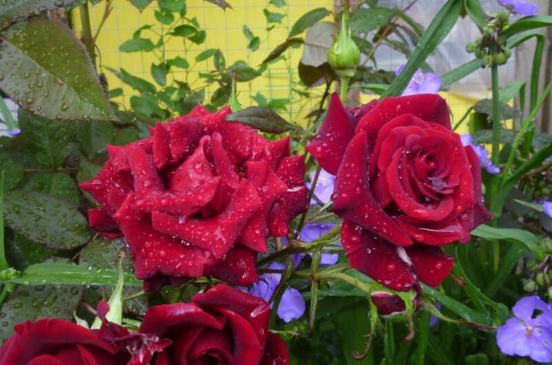 Часть дома «под ключ»