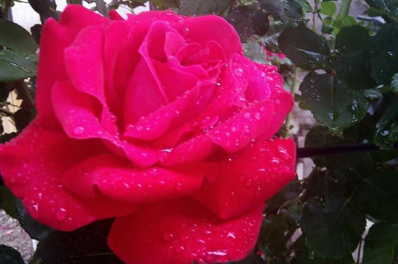 Часть дома «под ключ»