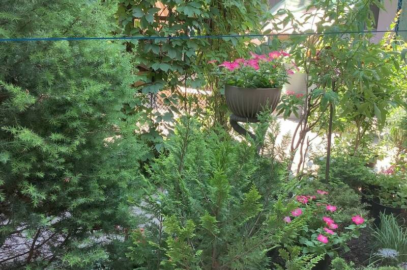 Гостевой дом «Гранат»