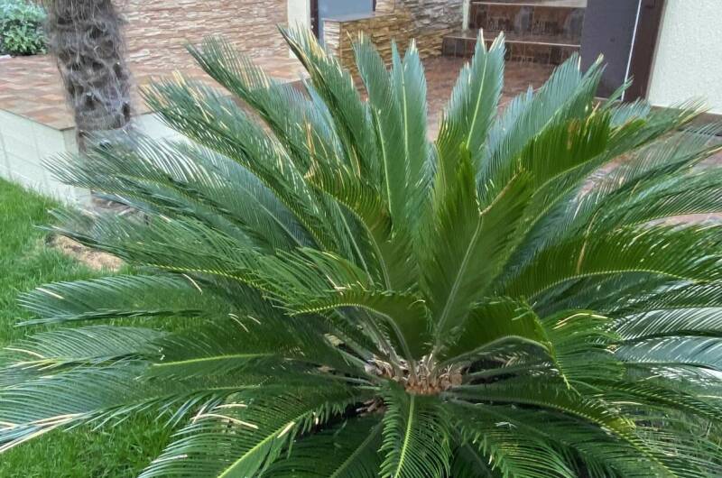 Гостевой дом «Анна» с апартаментами