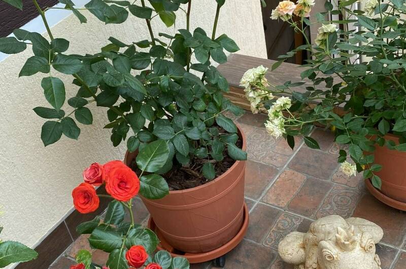 Гостевой дом «Анна» с апартаментами