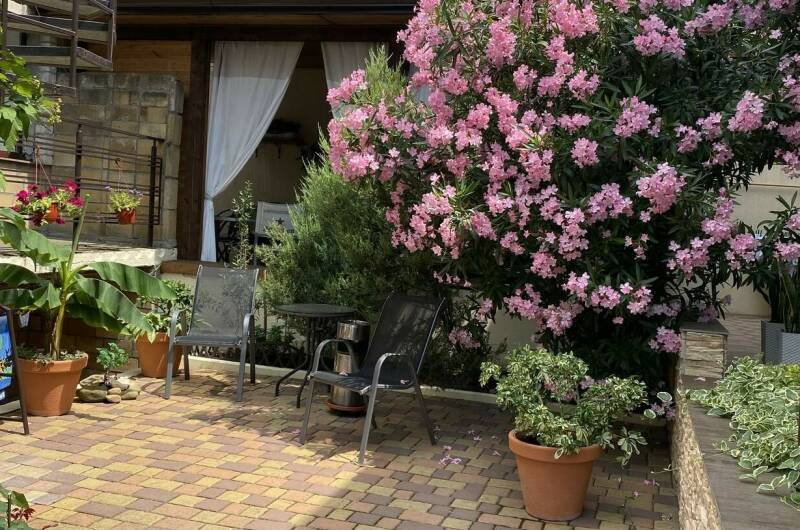 Гостевой дом «Анна» с апартаментами