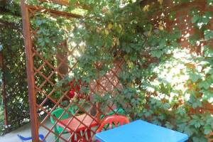 Изображение Гостевой дом «Зеленый дворик» #3