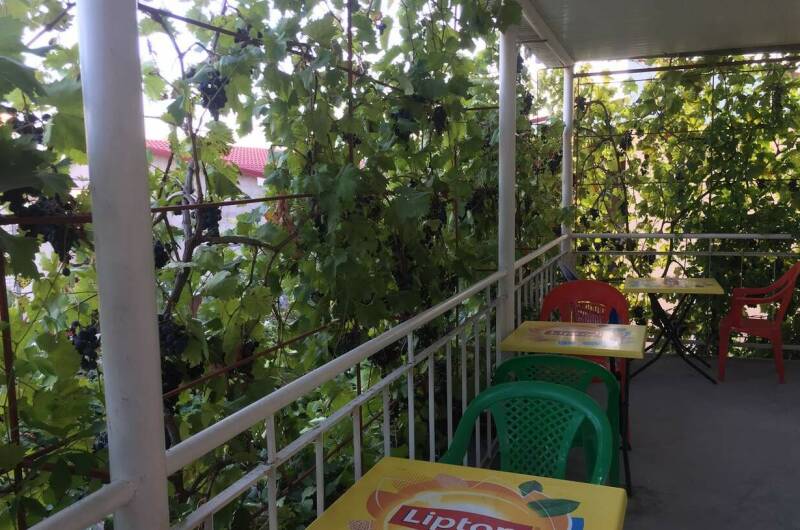 Гостевой дом «Зеленый дворик»