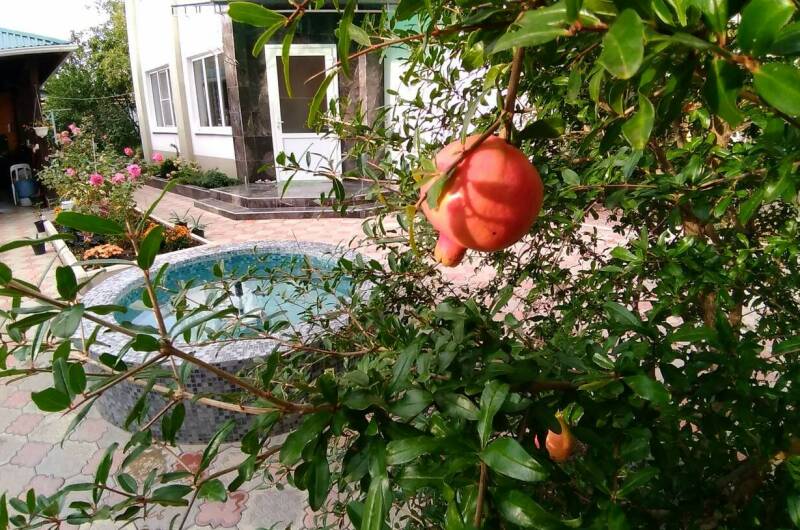 Частное домовладение «Иваныч»