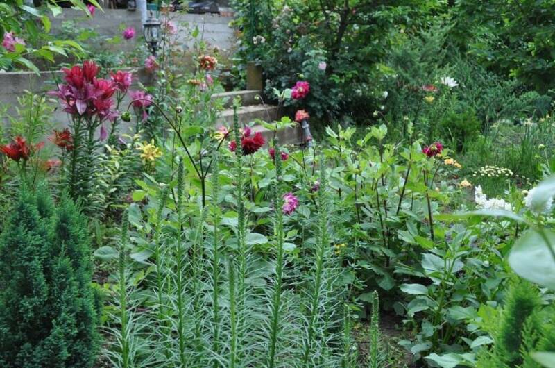 Частный сектор «Bonjour»