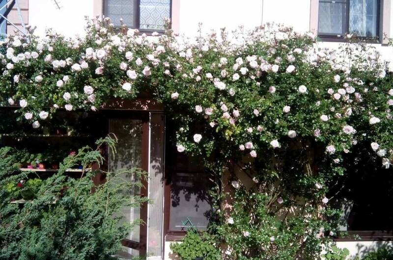 Частный сектор «Bonjour»