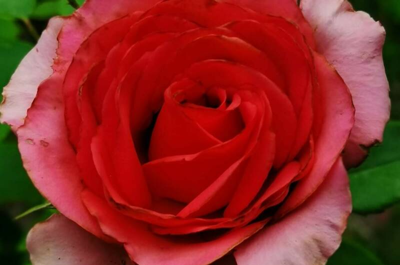 Гостевой дом «Анна»