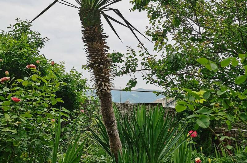 Гостевой дом «Анна»