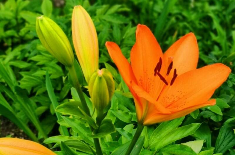 Гостевой дом «Анна»