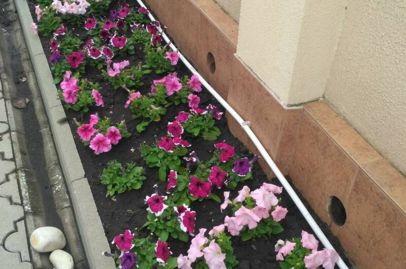 Гостевой дом «Светлана»