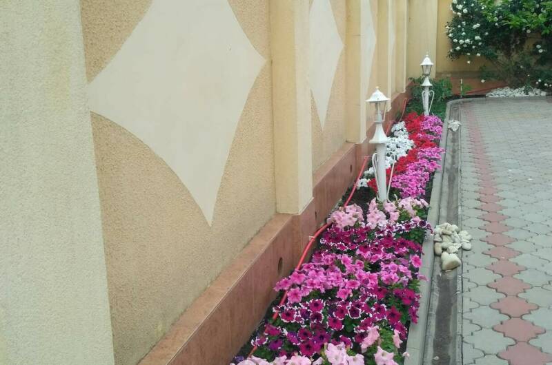 Гостевой дом «Светлана»