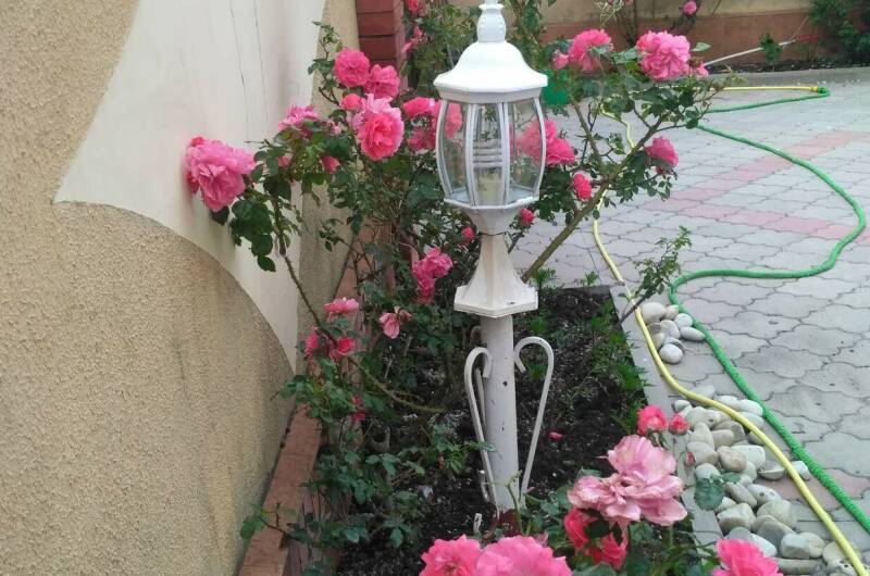 Гостевой дом «Светлана»