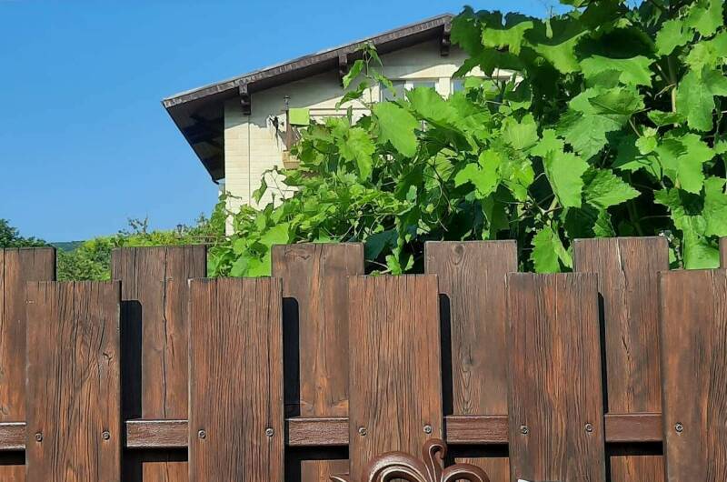 Частный сектор «Белый Какаду»