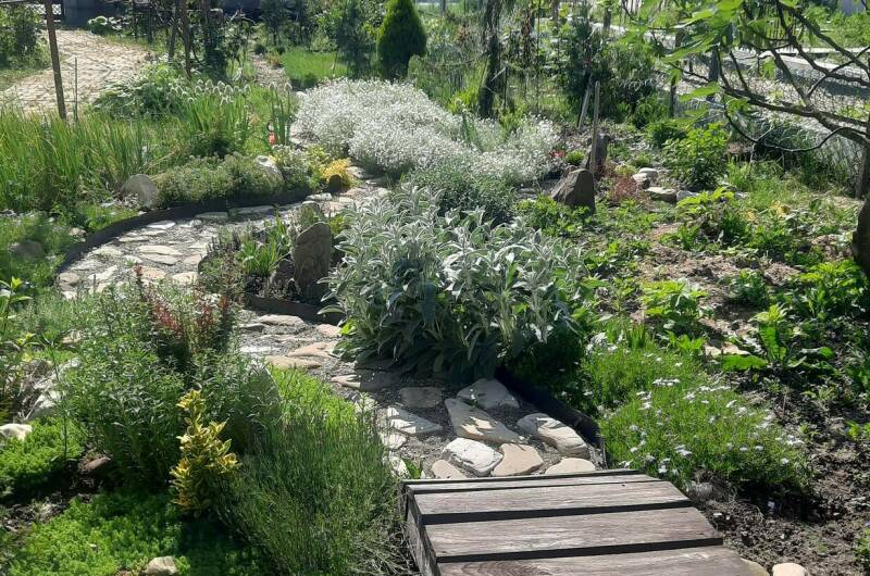 Частный сектор «Белый Какаду»