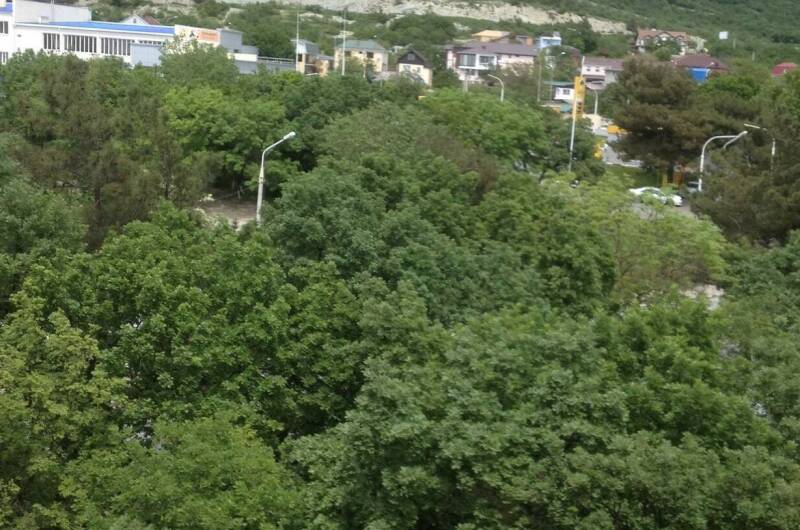 Однокомнатная квартира