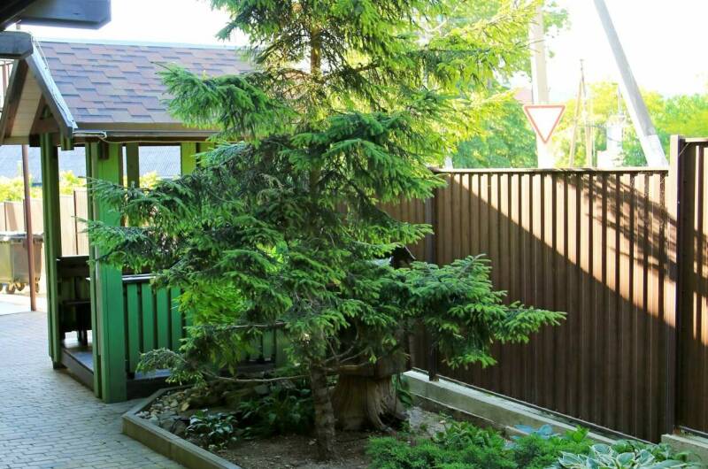 Гостевой дом «Верные друзья»