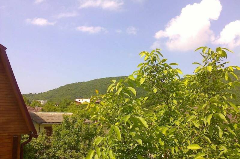 Гостевой дом «Тихий дворик»