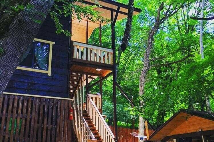 Гостевой дом «БорОдача»