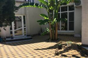 Изображение Гостевой дом «Зелёный рай» #1