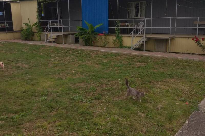 Домик под ключ на Ленина 13