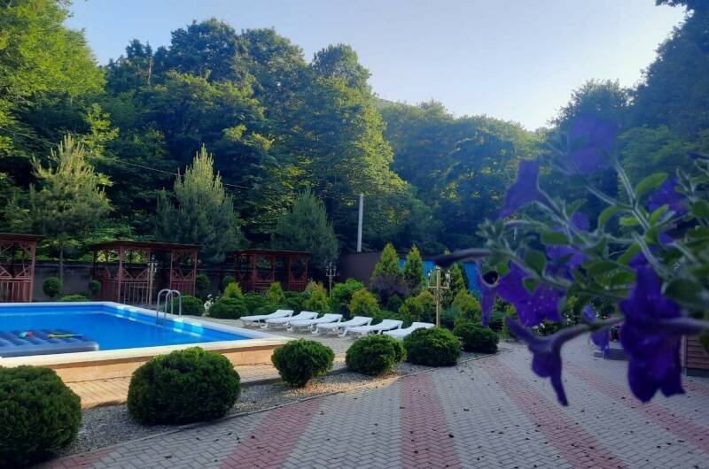 Отель «Лесной»