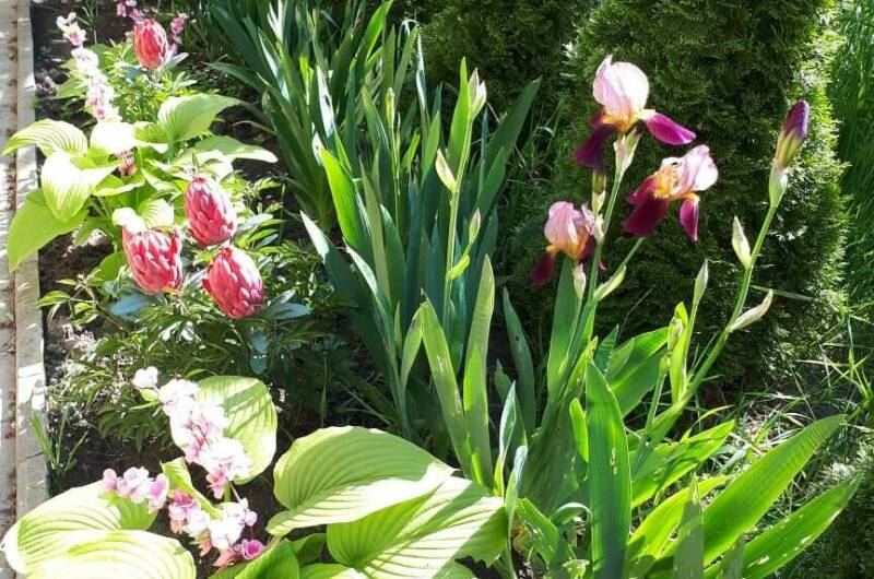 Частная Усадьба «Лакшми»