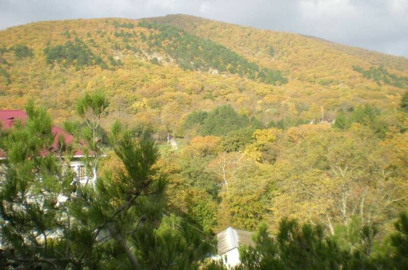 Апартаменты «Бетта»