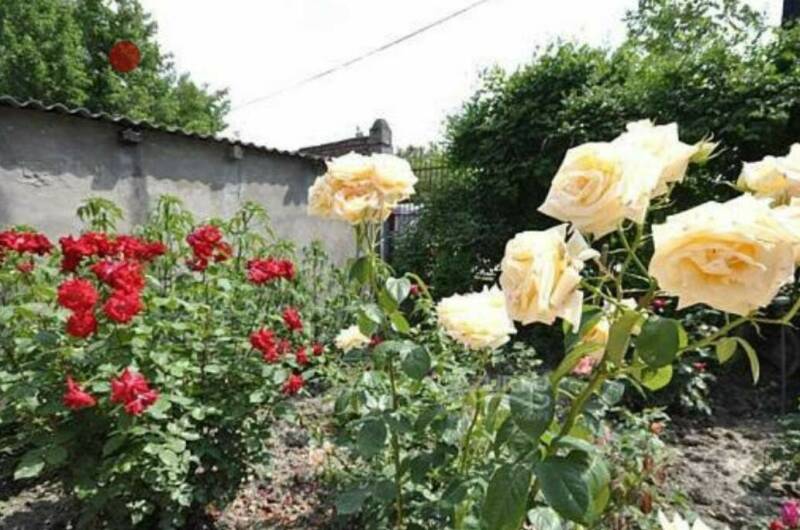 Гостевой дом «София»