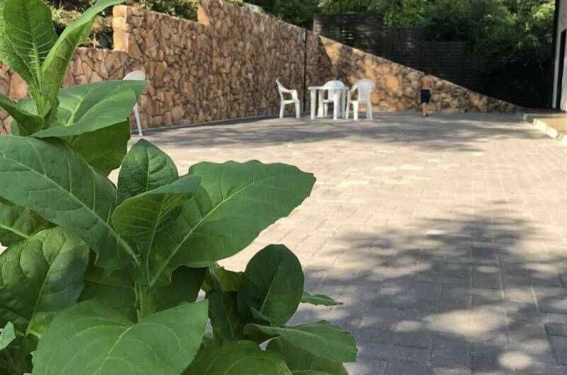 Гостевой дом «Золотой песок» (бывш. «The Home»)