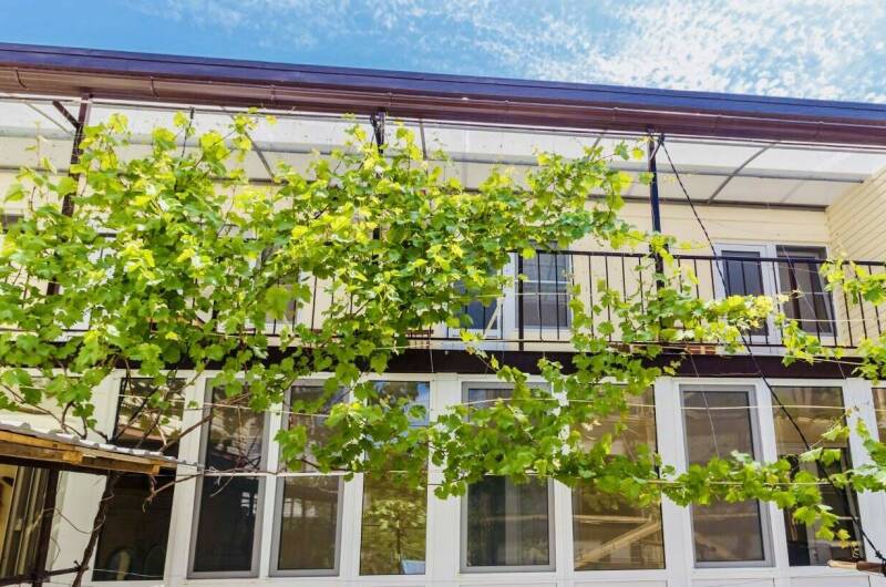 Частный дом «У Бориса»